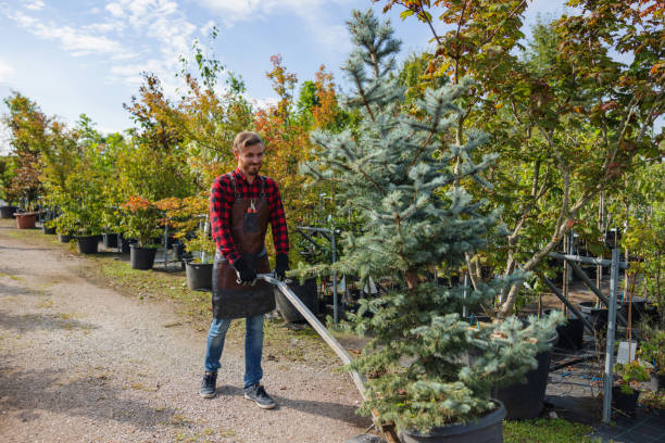 Best Root Management and Removal  in Tuckahoe, NY